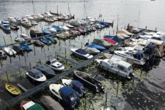 Sommerfest 2021 (Lutz Sommerburg)