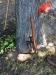 IMG-20160716-WA0059