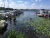 IMG-20160716-WA0069